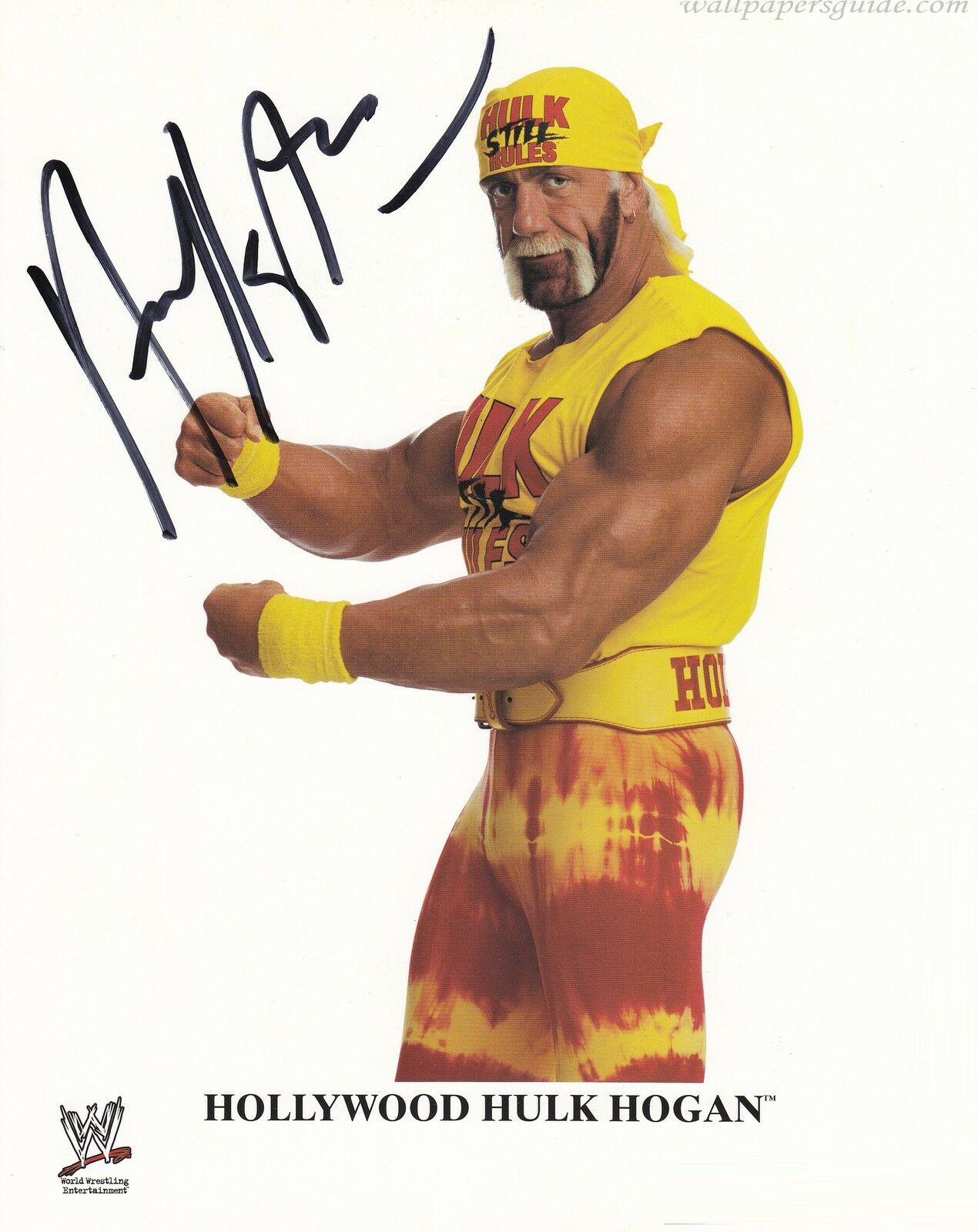 Hulk Hogan