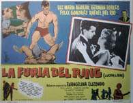 FURIA DEL RING, LA