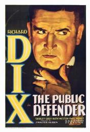 PUBLIC DEFENDER